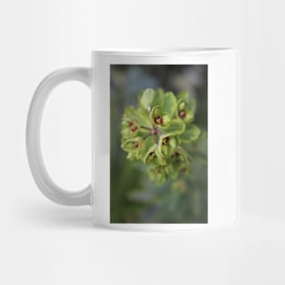 Extra green euphorbia Mug